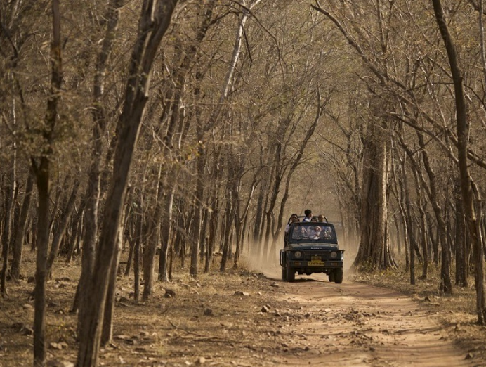 Bandavgarh Buffer Zone